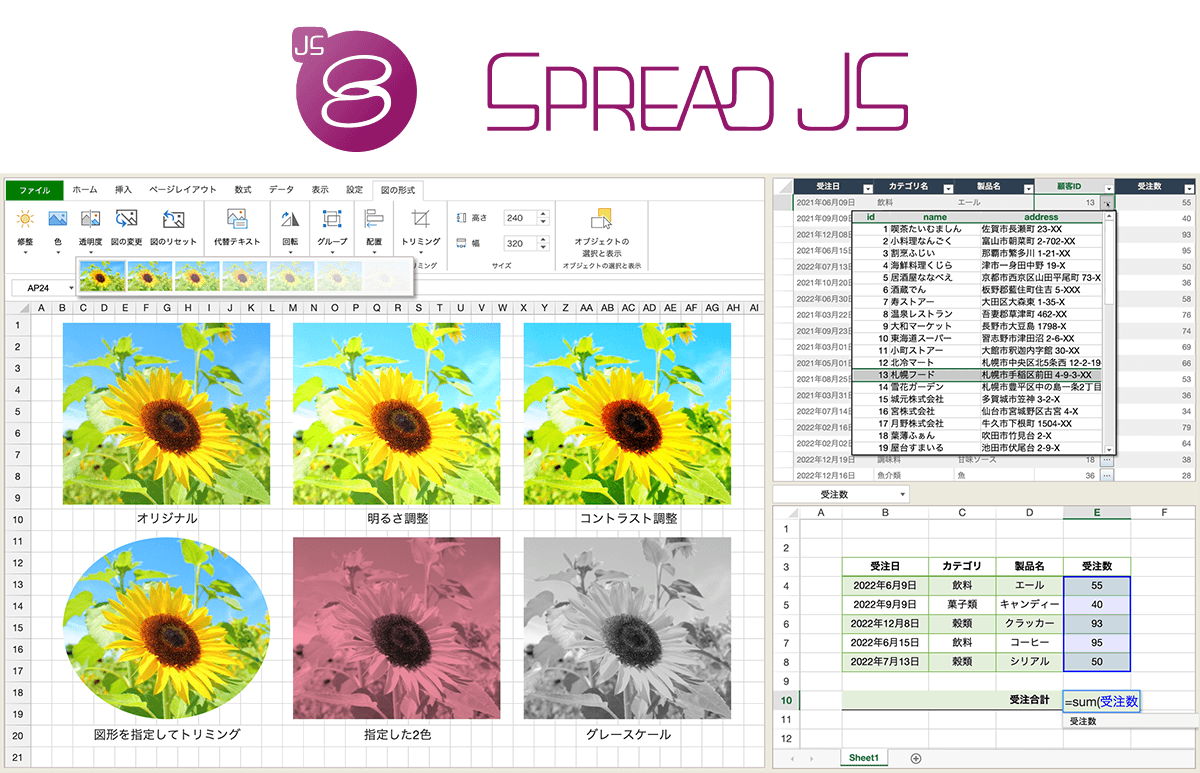 グレープシティ、新ピクチャ機能を搭載した JavaScriptライブラリ「SpreadJS」の新版「V15.2J」を 10月26日にリリース