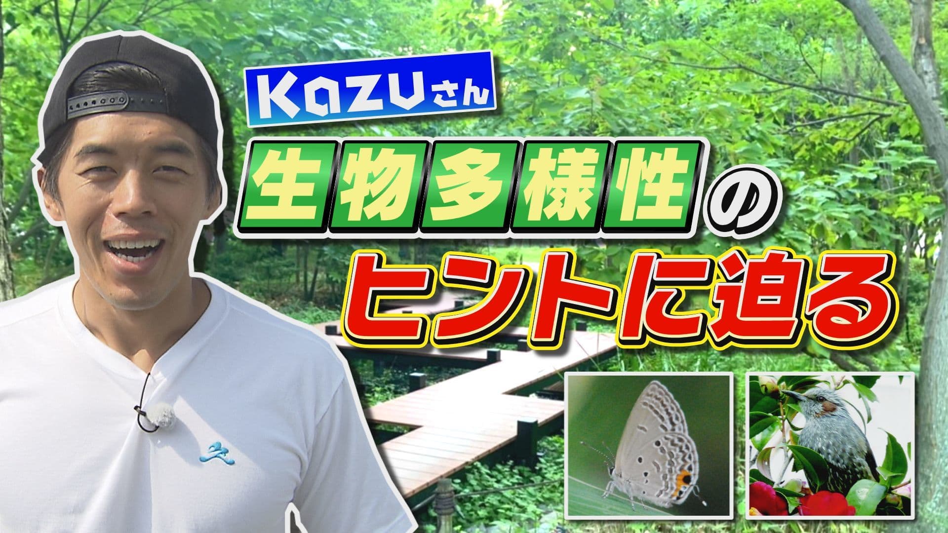 ＜Minecraftカップ応援＞　動画クリエイター Kazuさんが 生物多様性のヒントに迫る動画を公開