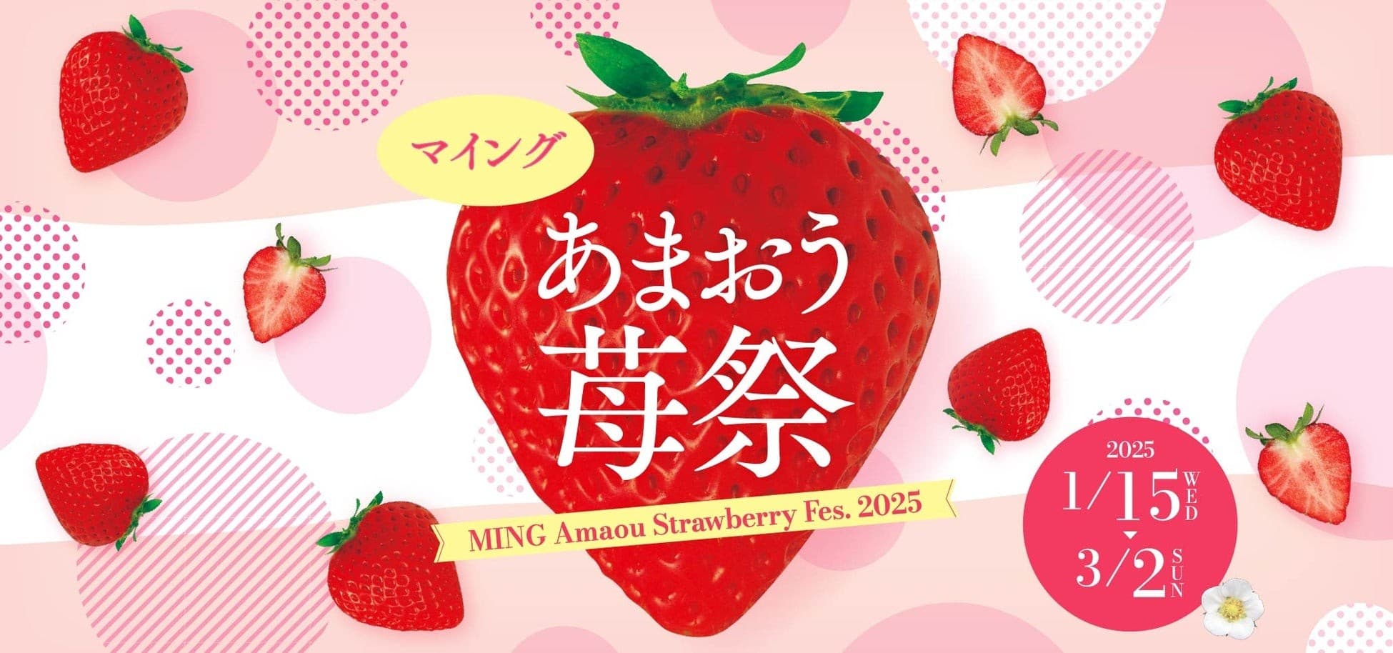 博多エキナカ マイング「あまおう苺祭」 約40種類以上のあまおう苺商品が大集合！「あまおう苺プレゼントキャンペーン」やあまおう苺スイーツが集まるイベントも開催！