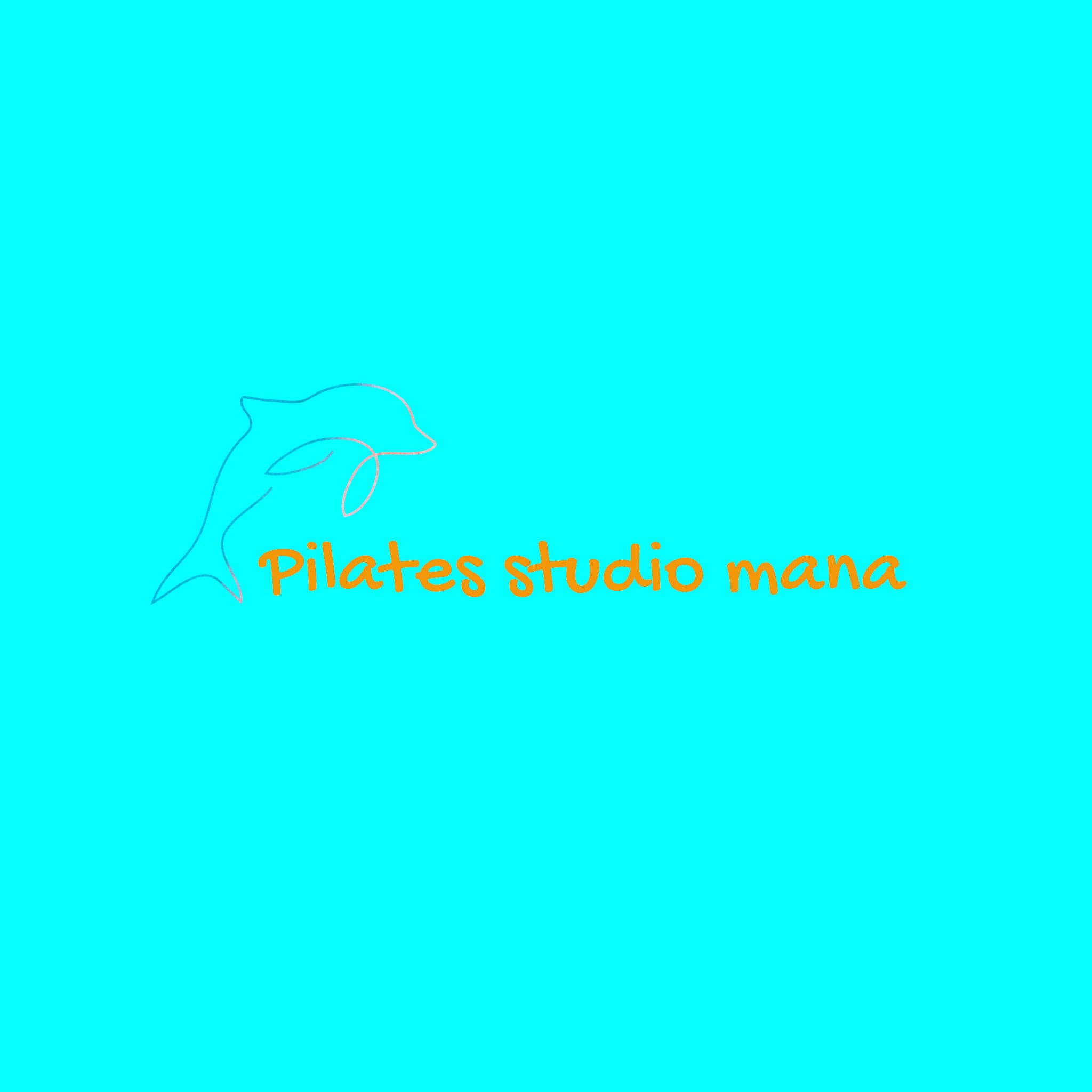 Pilates Studio Mana