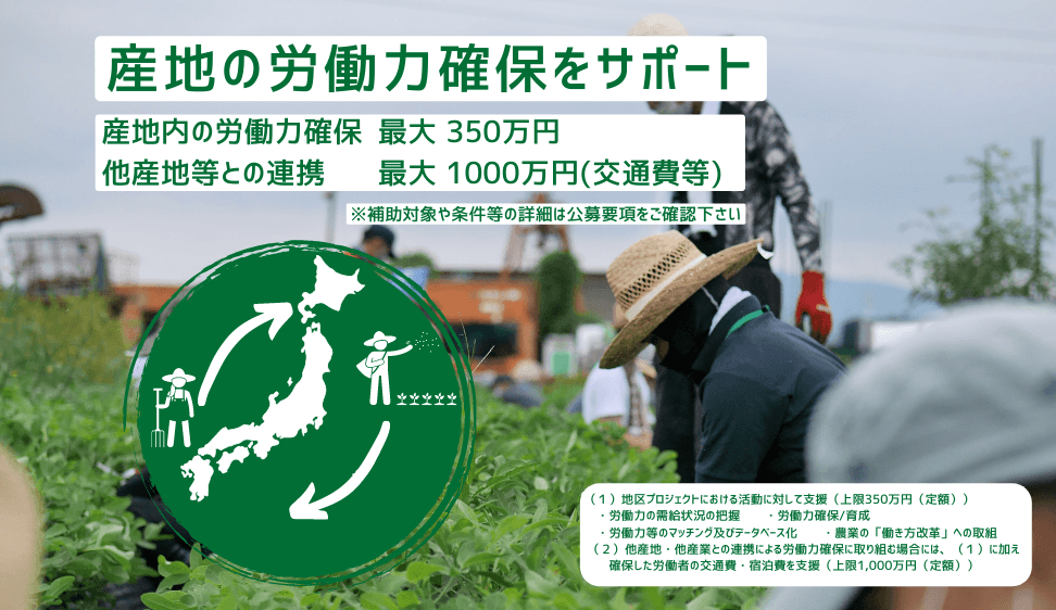 農業現場における労働力不足を解消するため、 産地内や、産地間連携での労働力確保の取り組みを支援します！