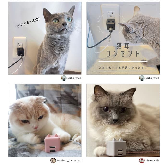 【ラスタバナナ】猫耳がついたAC充電器「にゃんコロ充電器」が大好評発売中