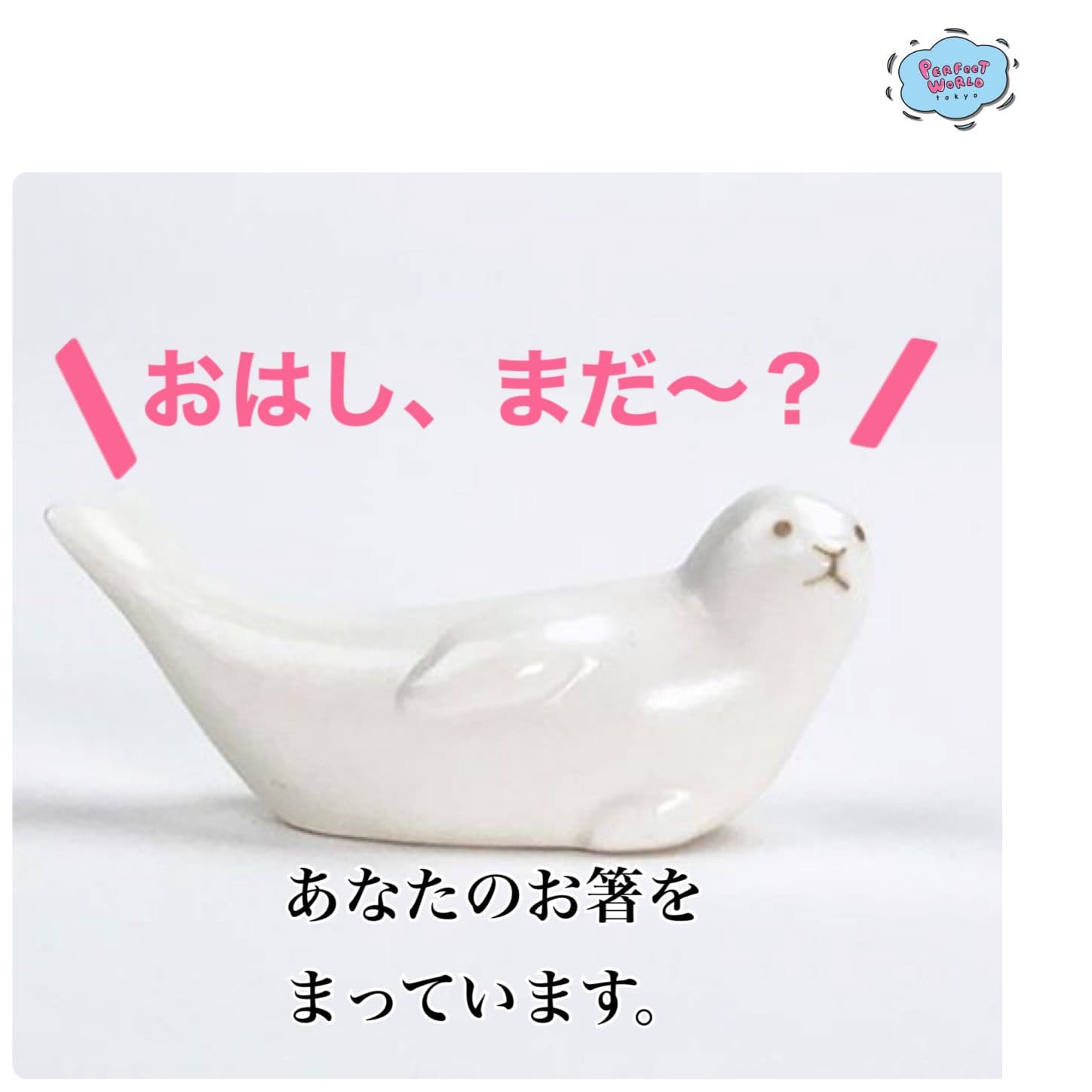 「あなたのお箸をまっています」WHITE ZOOの箸置きはちょっぴり上目づかいで可愛いのがポイント。