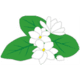 ICHIGOICHIE CONSULTING, INC.
