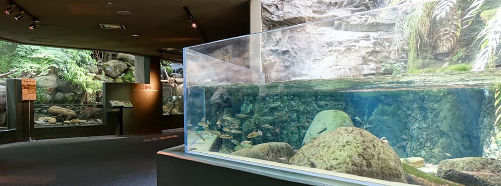 株式会社江ノ島マリンコーポレーション　世界淡水魚園水族館アクア・トト ぎふ