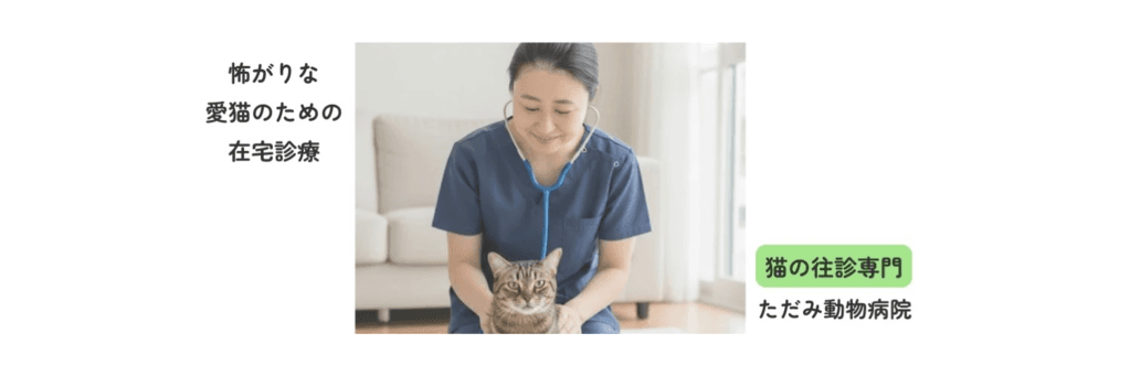 ただみ動物病院