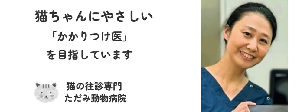 ただみ動物病院