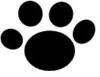 株式会社ねこぱんち
