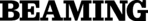 株式会社BEAMING