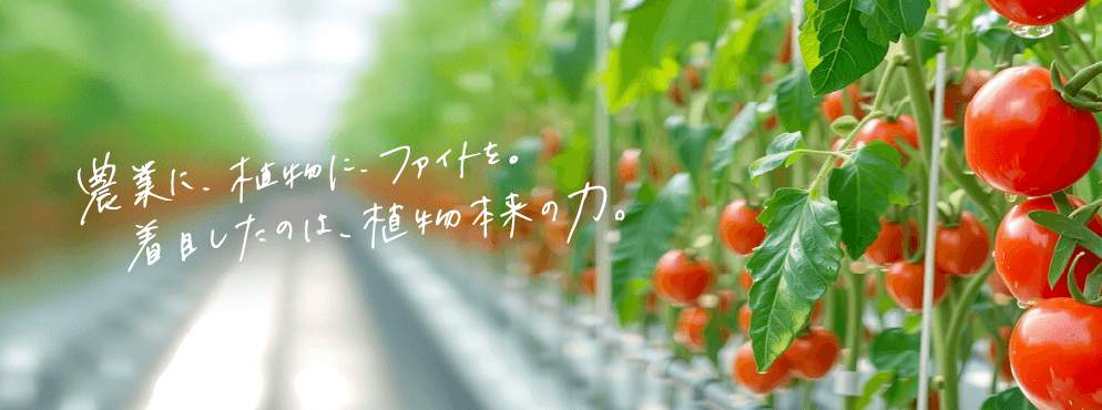株式会社ファイトクローム