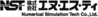 株式会社エヌ・エス・ティ