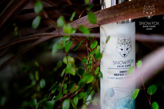 株式会社 Snow Fox Japan