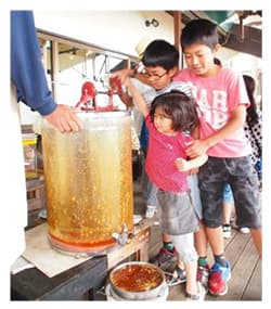 しぼりたてのハチミツの試食会