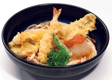 初夏の天おろしうどん