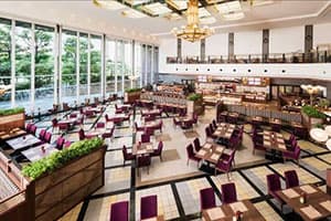 昼の開放感溢れる店内
