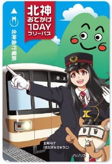 券面デザイン