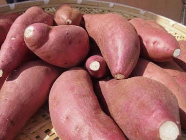 大津町産のさつまいも(商品例)