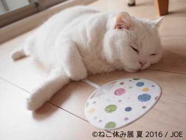 出展予定作品(1)
