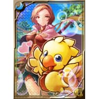 限定SCRカード チョコボ＆アン