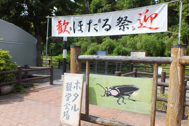 ほたる公園