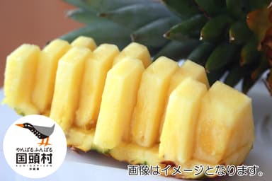 国頭完熟パインアップル