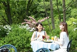 テラス席でランチ