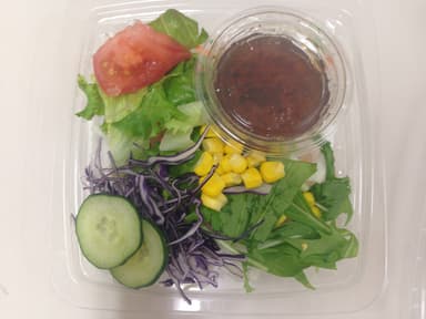 １０品目の彩りサラダ