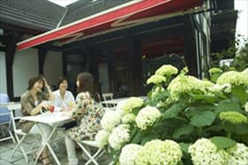 シュトラウス・カフェ　テラス席