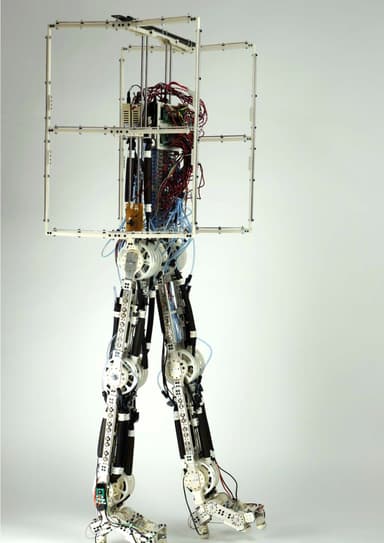 ヒューマノイド・ロボットの例