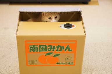 投稿写真2
