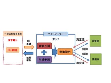実証事業の概要