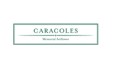 有限会社カラコレス