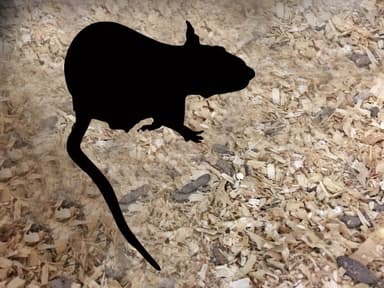 1万人突破記念に新登場したなぞの生き物