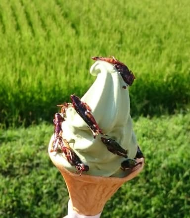 あぜ道ソフトクリーム 3