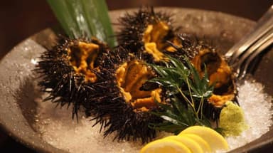 殻ごと「ウニ」の刺身