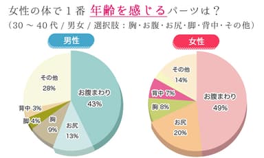 円グラフ
