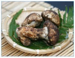 「秋の味覚」宝ものイメージ