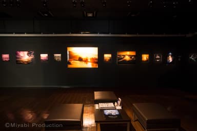 展示の様子