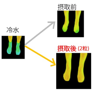2粒飲んだ結果