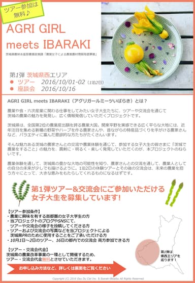 ツアーチラシ