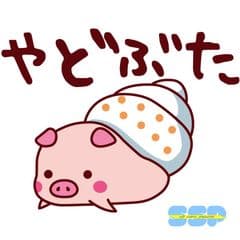 高齢者を楽しませる小学生女子グループ“やどぶた”　
感謝のプレゼントを贈る敬老の日キャンペーン実施