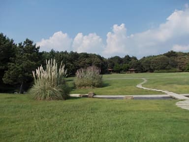 稲毛海浜公園 2