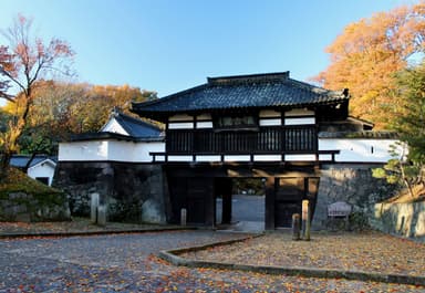 紅葉まつり 1
