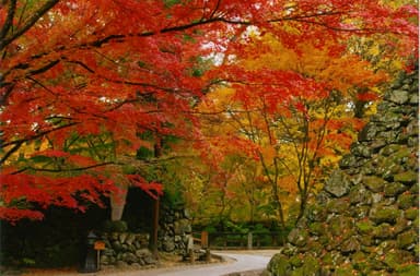 紅葉まつり 2