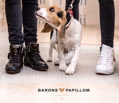 Barons Cuir Perfore