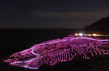 あぜのきらめき 写真