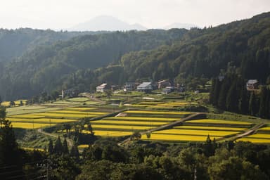 小滝集落全景