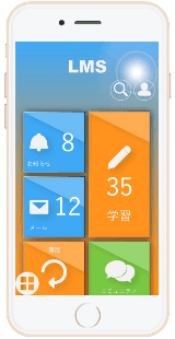 iOS window