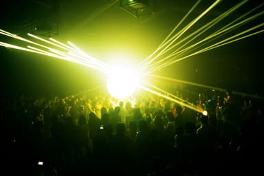 夜フェス