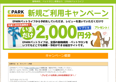 キャンペーン